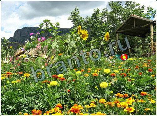 Побег из зоопарка помощь в картинках уровень 111