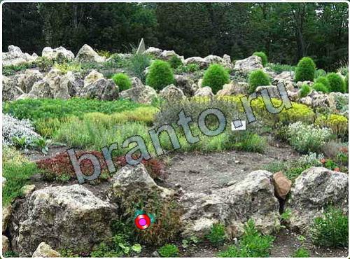 ответы на игру Побег из зоопарка уровень 113