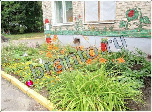 ответы на игру Побег из зоопарка уровень 116