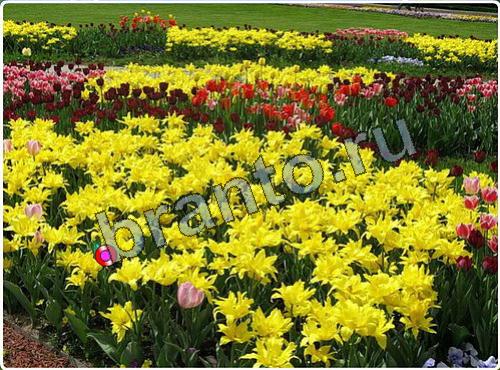 ответы на игру Побег из зоопарка уровень 117