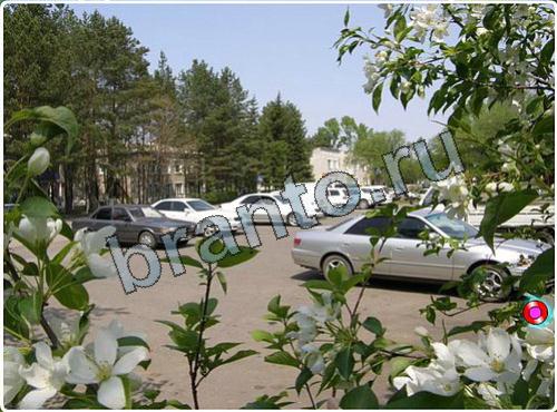 ответы на игру Побег из зоопарка уровень 120