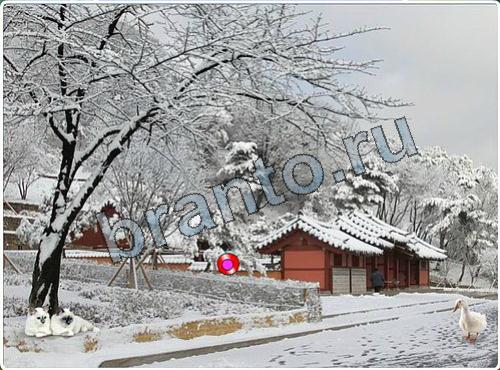 ответы на игру Побег из зоопарка уровень 121