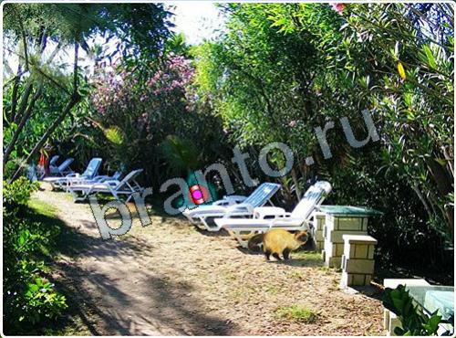 Подсказки на игру Побег из зоопарка уровень 122