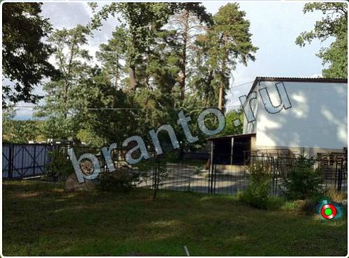 Побег из зоопарка подсказки уровень 129