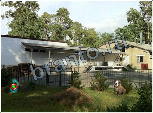 Побег из зоопарка помощь уровень 130