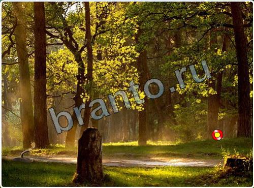 решебник на игру Побег из зоопарка уровень 131