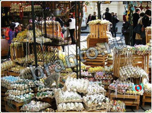 Побег из зоопарка игра ответы уровень 133