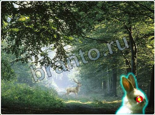 Побег из зоопарка игра помощь уровень 135