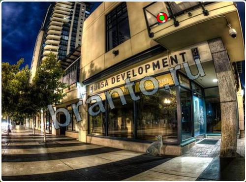 Игра Побег из зоопарка ответы уровень 137