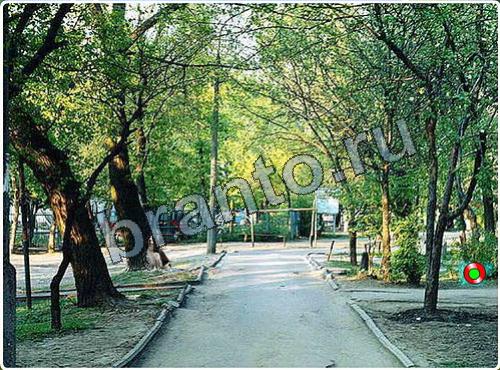 прохождение на игру Побег из зоопарка уровень 141