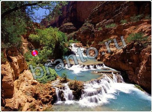 ответы на игру Побег из зоопарка в одноклассниках уровень 143