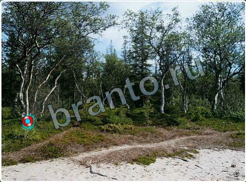 Прохождение игры Побег из зоопарка уровень 144