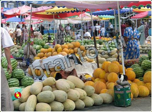 ответы Побег из зоопарка в одноклассниках уровень 146