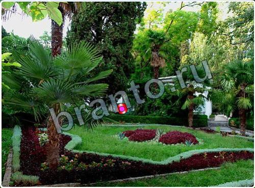 Побег из зоопарка игра ответы уровень 149