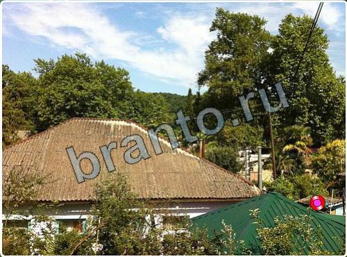 ответы на игру Побег из зоопарка в скриншотах уровень 152