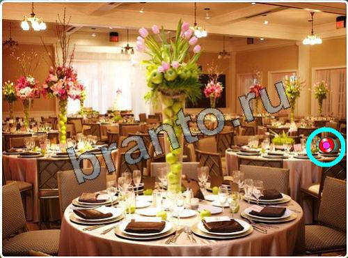 ответы на игру Побег из зоопарка уровень 154