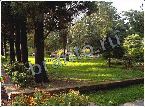 ответы на игру Побег из зоопарка уровень 159