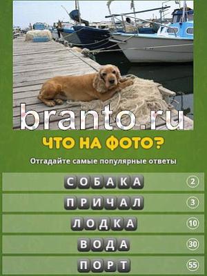 ответы на игру Популярный ответ: что на фото? Уровень 103