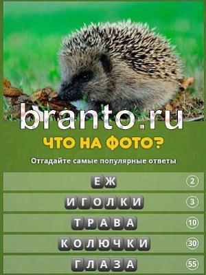 ответы на игру Популярный ответ: что на фото? Уровень 113
