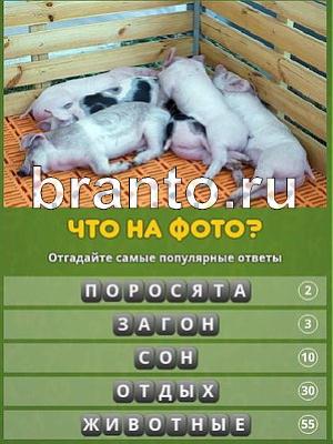 Популярный ответ игра ответы Уровень 117