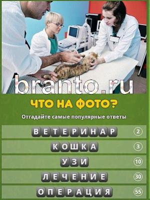 ответы на игру Популярный ответ: что на фото? Уровень 126