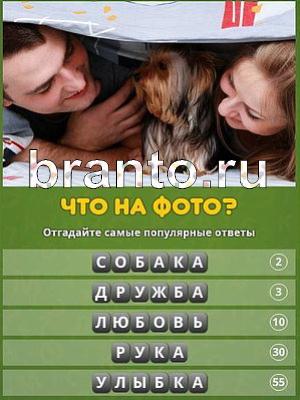 ответы на игру Популярный ответ: что на фото? Уровень 136