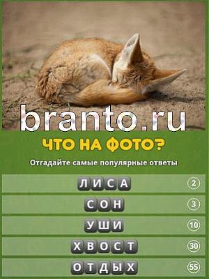 Популярный ответ: что на фото? помощь Уровень 139