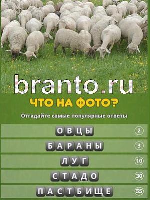 ответы на игру Популярный ответ: что на фото? Уровень 140