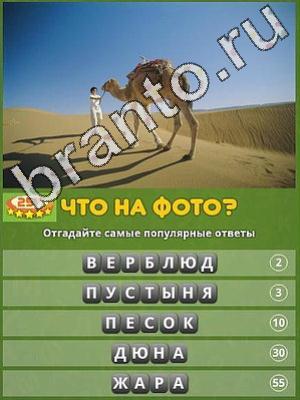 ответы на игру что на фото Уровень 257