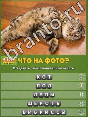 ответы на игру Популярный ответ что на фото Уровень 259