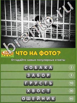 ответы к игре Популярный ответ: что на фото? Уровень 268
