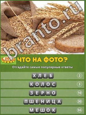 Игра Популярный ответ: что на фото? подсказки Уровень 269