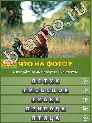 ответы на игру Популярный ответ: что на фото? Уровень 290