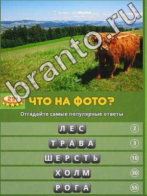 Популярный ответ: что на фото? решения Уровень 291