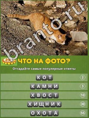 ответы на игру Популярный ответ: что на фото? Уровень 294