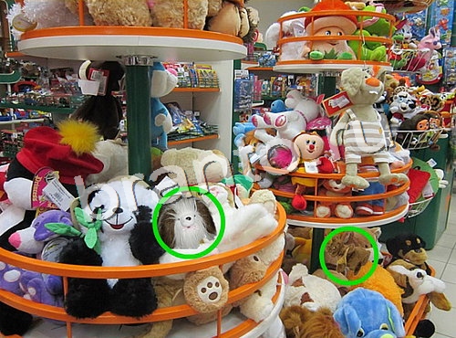 Решения на игру Предметы из прошлого Уровень 1603