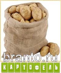 Прятки слов в контакте: уровень 202