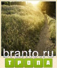 ответы на игру Прятки слов уровень 241