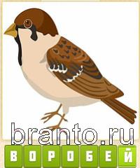 ответы на игру Прятки слов уровень 321