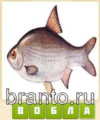 ответы на игру Прятки слов уровень 481