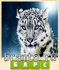 ответы на игру Прятки слов уровень 501