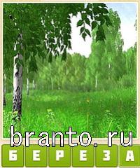 Прятки слов подсказки: уровень 503