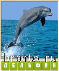 ответы на игру Прятки слов уровень 541