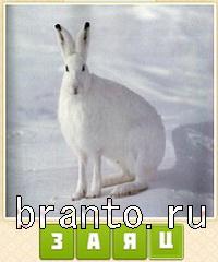 Прятки слов в контакте: уровень 582