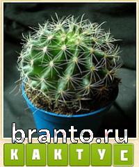 ответы на игру Прятки слов уровень 601