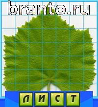 ответы на игру Путаница