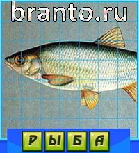 ответы на игру Путаница