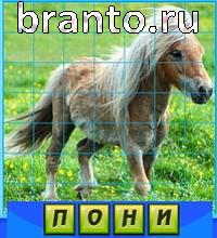 ответы на игру Путаница