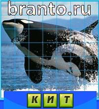 Путаница подсказки