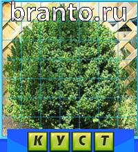 ответы на игру Путаница в контакте